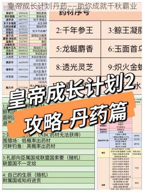 皇帝成长计划丹药——助你成就千秋霸业