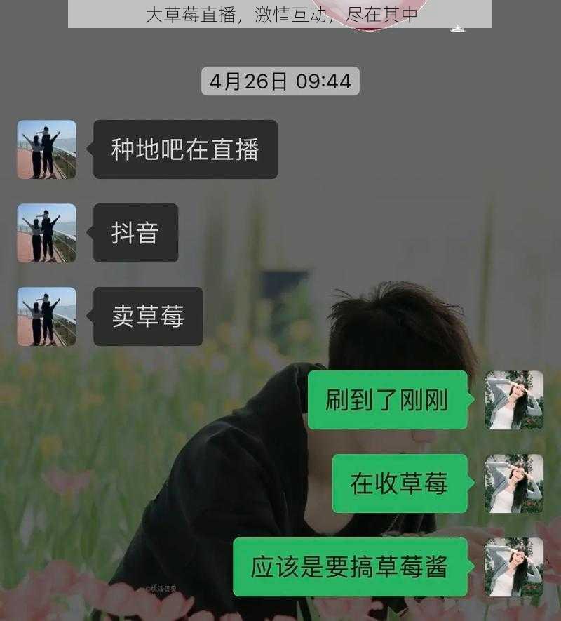 大草莓直播，激情互动，尽在其中