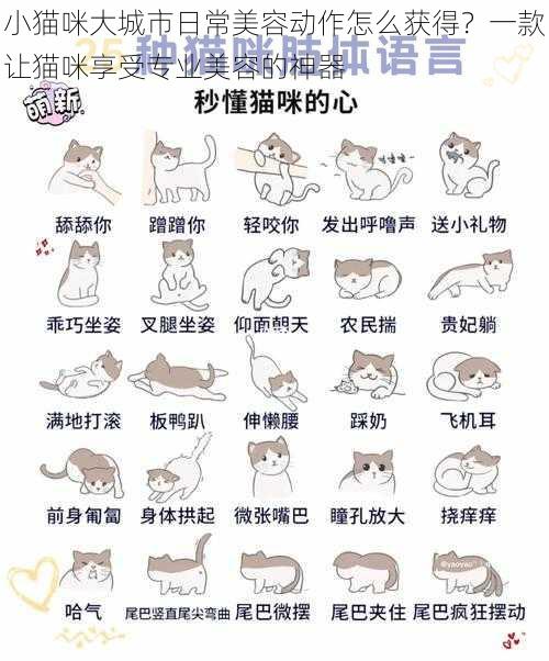 小猫咪大城市日常美容动作怎么获得？一款让猫咪享受专业美容的神器