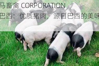 人马畜禽 CORPORATION 猪巴西：优质猪肉，源自巴西的美味享受