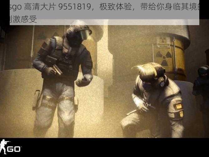 csgo 高清大片 9551819，极致体验，带给你身临其境的刺激感受