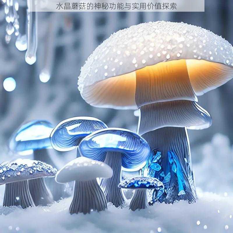 水晶蘑菇的神秘功能与实用价值探索