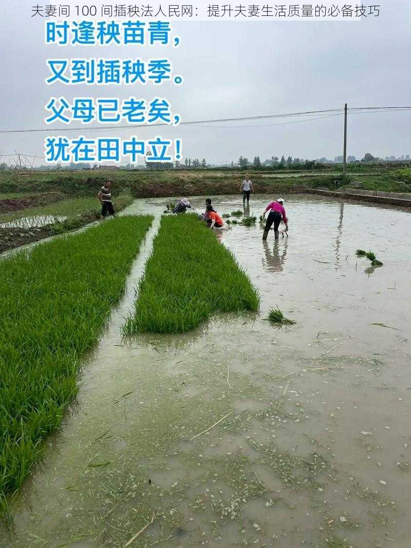 夫妻间 100 间插秧法人民网：提升夫妻生活质量的必备技巧