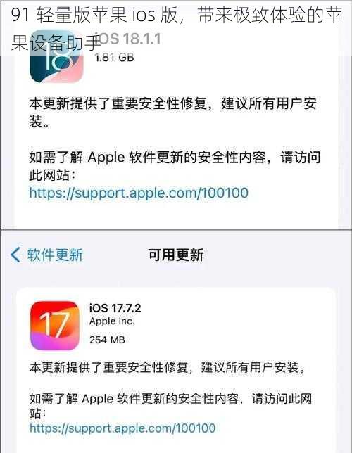 91 轻量版苹果 ios 版，带来极致体验的苹果设备助手