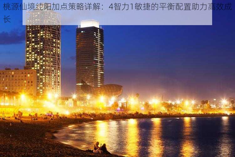 桃源仙境纯阳加点策略详解：4智力1敏捷的平衡配置助力高效成长