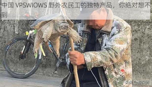 中国 VPSWIOWS 野外农民工的独特产品，你绝对想不到