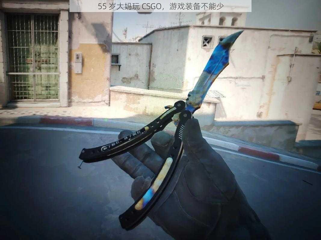 55 岁大妈玩 CSGO，游戏装备不能少