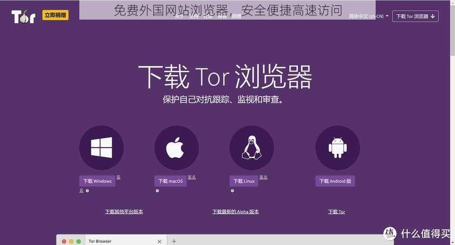 免费外国网站浏览器，安全便捷高速访问