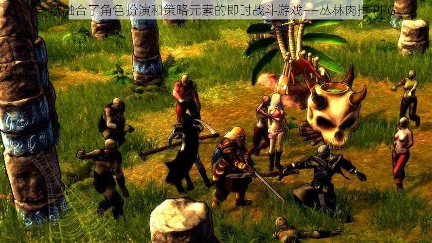 一款融合了角色扮演和策略元素的即时战斗游戏——丛林肉搏 RPG