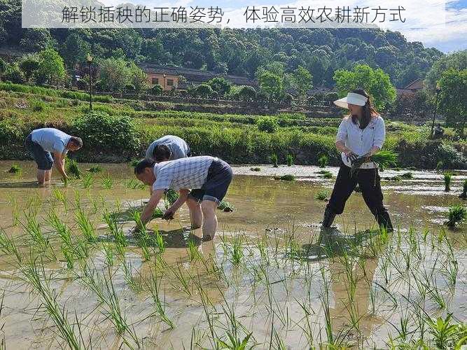 解锁插秧的正确姿势，体验高效农耕新方式