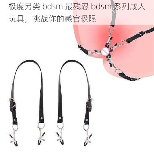 极度另类 bdsm 最残忍 bdsm 系列成人玩具，挑战你的感官极限