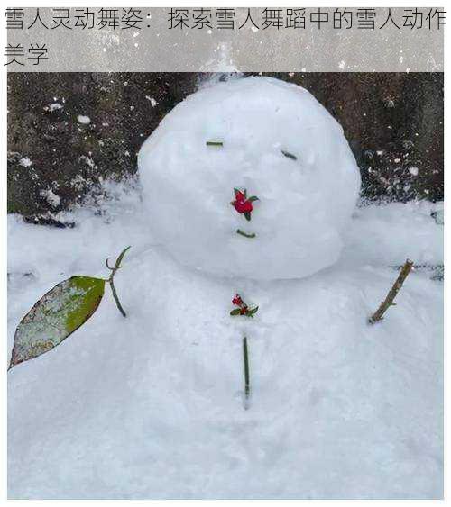 雪人灵动舞姿：探索雪人舞蹈中的雪人动作美学