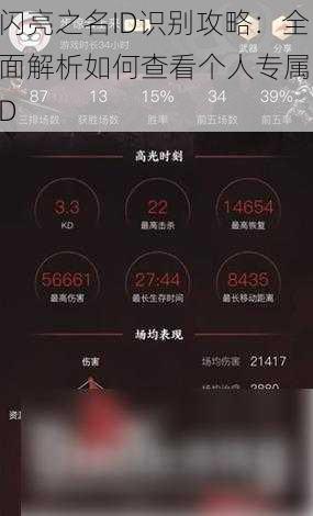 闪亮之名ID识别攻略：全面解析如何查看个人专属ID