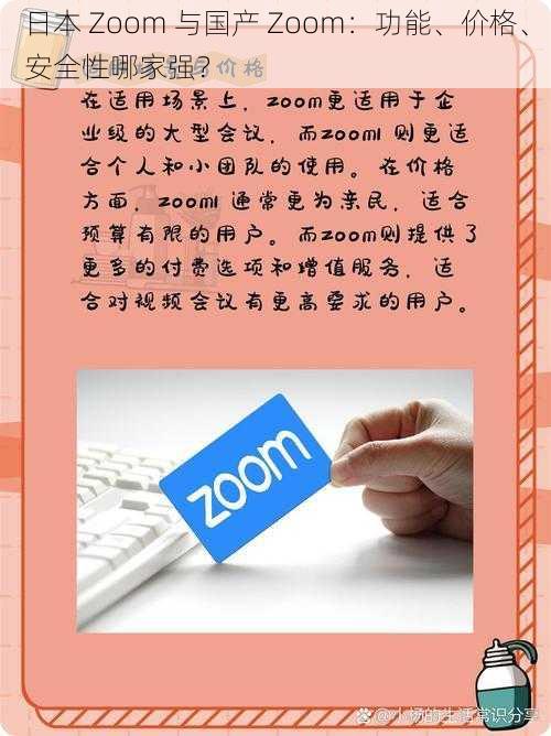 日本 Zoom 与国产 Zoom：功能、价格、安全性哪家强？