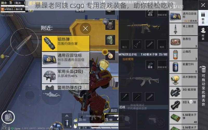 暴躁老阿姨 csgo 专用游戏装备，助你轻松吃鸡