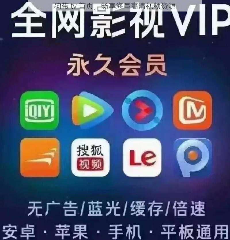 狗带 tv 首页，畅享海量高清视频资源