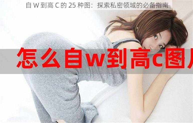 自 W 到高 C 的 25 种图：探索私密领域的必备指南