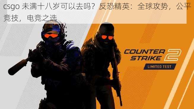 csgo 未满十八岁可以去吗？反恐精英：全球攻势，公平竞技，电竞之选