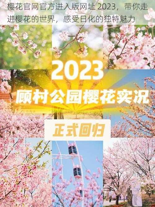 樱花官网官方进入版网址 2023，带你走进樱花的世界，感受日化的独特魅力