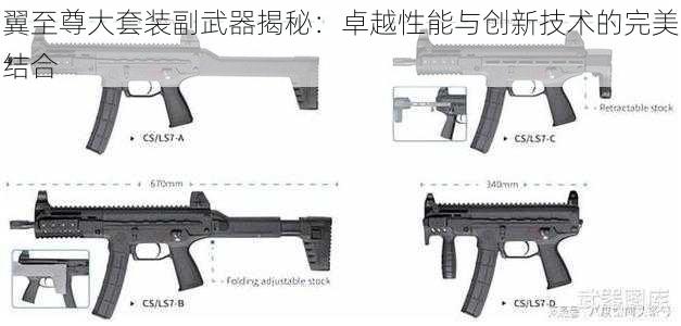 翼至尊大套装副武器揭秘：卓越性能与创新技术的完美结合