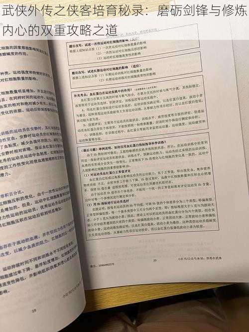 武侠外传之侠客培育秘录：磨砺剑锋与修炼内心的双重攻略之道