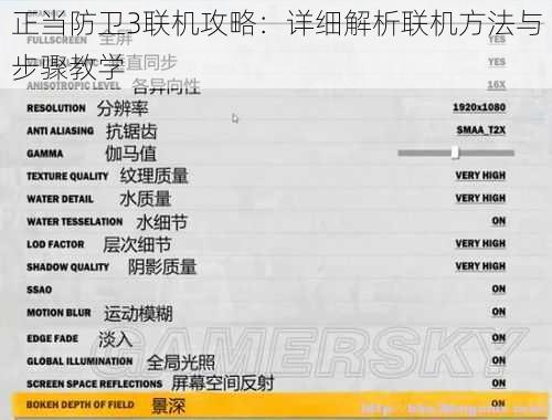 正当防卫3联机攻略：详细解析联机方法与步骤教学