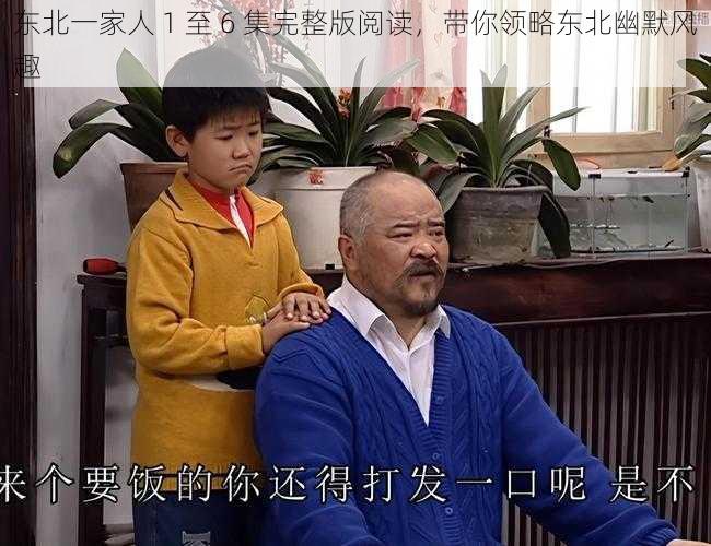 东北一家人 1 至 6 集完整版阅读，带你领略东北幽默风趣