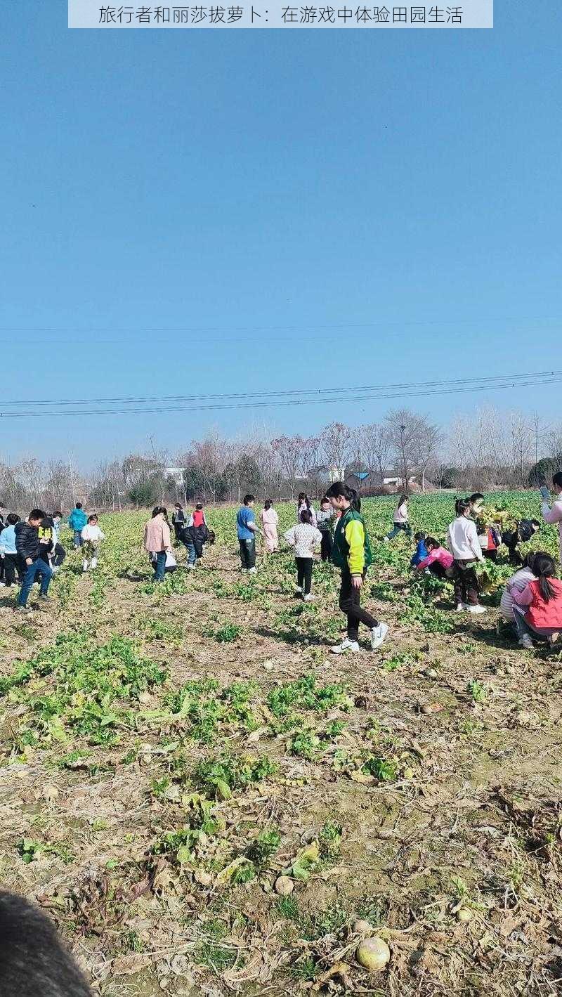 旅行者和丽莎拔萝卜：在游戏中体验田园生活