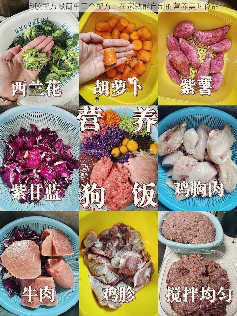 人狗胶配方最简单三个配方：在家就能自制的营养美味食品