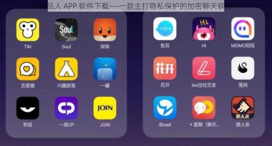 成品人 APP 软件下载——一款主打隐私保护的加密聊天软件