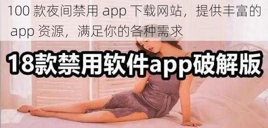 100 款夜间禁用 app 下载网站，提供丰富的 app 资源，满足你的各种需求