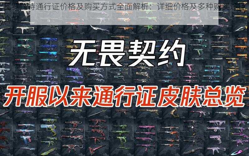 瓦罗兰特通行证价格及购买方式全面解析：详细价格及多种购买途径介绍