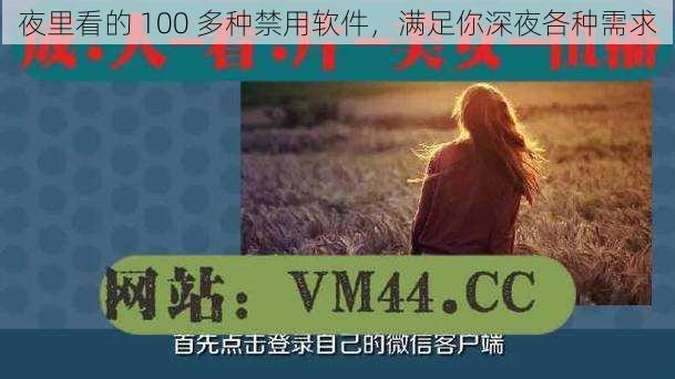 夜里看的 100 多种禁用软件，满足你深夜各种需求