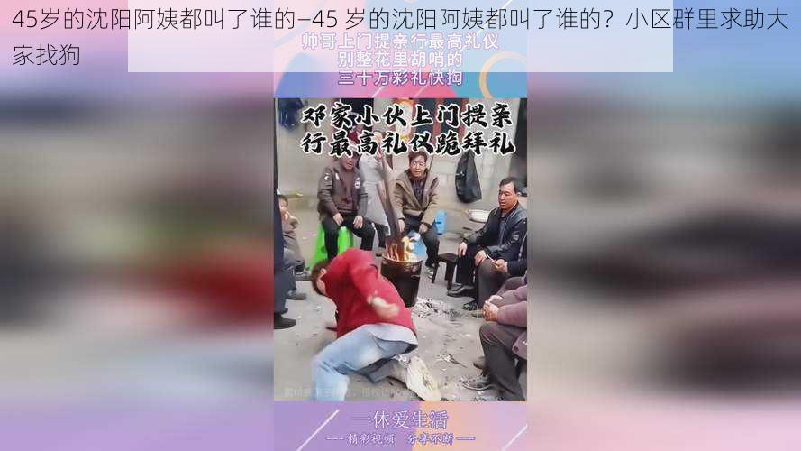 45岁的沈阳阿姨都叫了谁的—45 岁的沈阳阿姨都叫了谁的？小区群里求助大家找狗