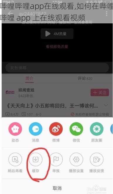 哔哩哔哩app在线观看,如何在哔哩哔哩 app 上在线观看视频