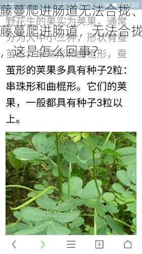 藤蔓爬进肠道无法合拢、藤蔓爬进肠道，无法合拢，这是怎么回事？