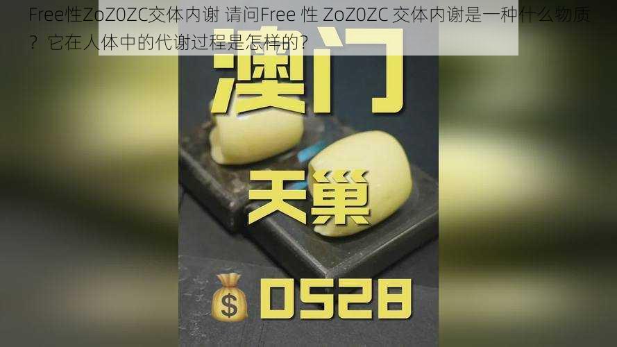 Free性ZoZ0ZC交体内谢 请问Free 性 ZoZ0ZC 交体内谢是一种什么物质？它在人体中的代谢过程是怎样的？