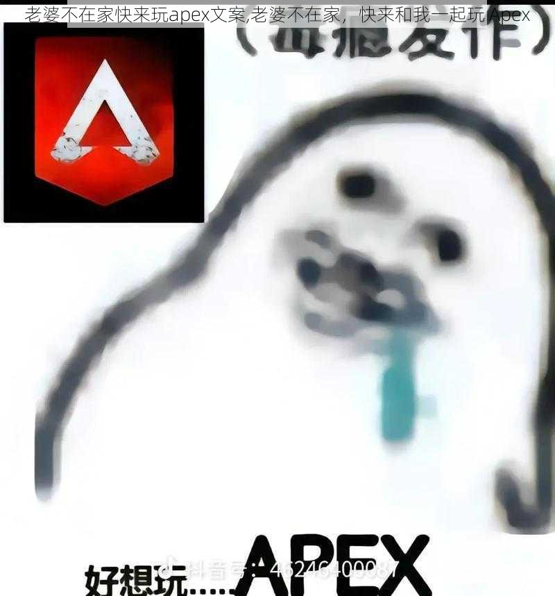 老婆不在家快来玩apex文案,老婆不在家，快来和我一起玩 Apex