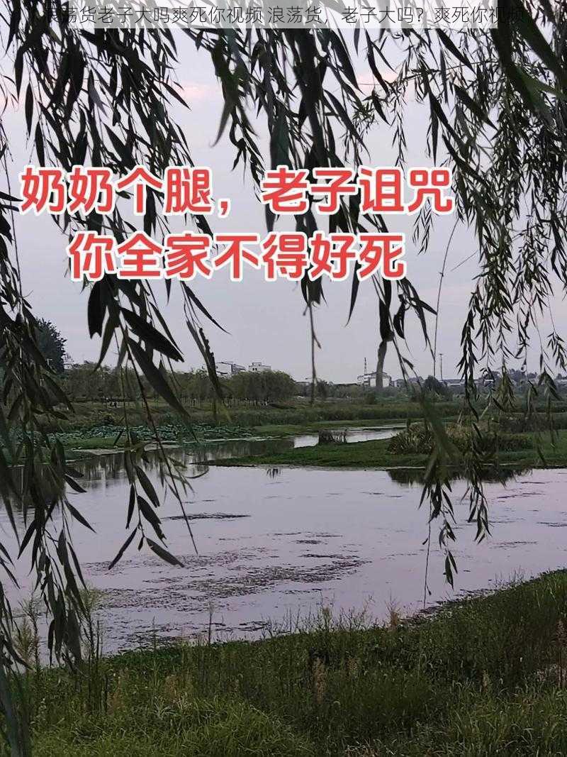 浪荡货老子大吗爽死你视频 浪荡货，老子大吗？爽死你视频