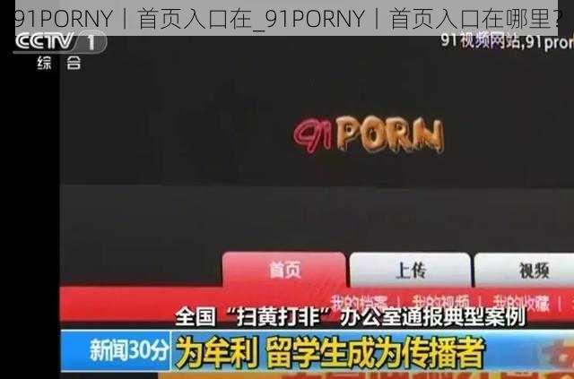 91PORNY丨首页入口在_91PORNY丨首页入口在哪里？