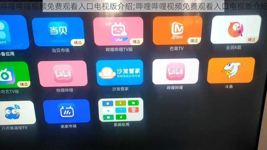 哔哩哔哩视频免费观看入口电视版介绍;哔哩哔哩视频免费观看入口电视版介绍