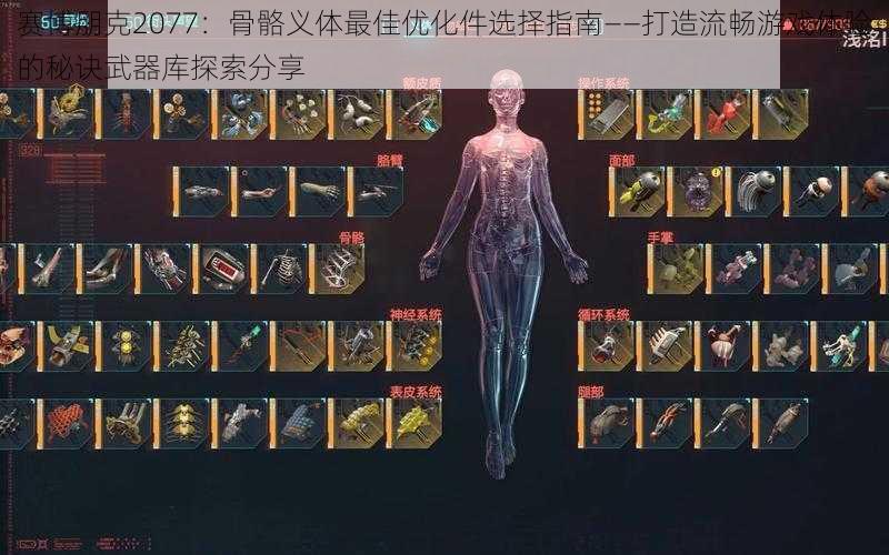 赛博朋克2077：骨骼义体最佳优化件选择指南——打造流畅游戏体验的秘诀武器库探索分享