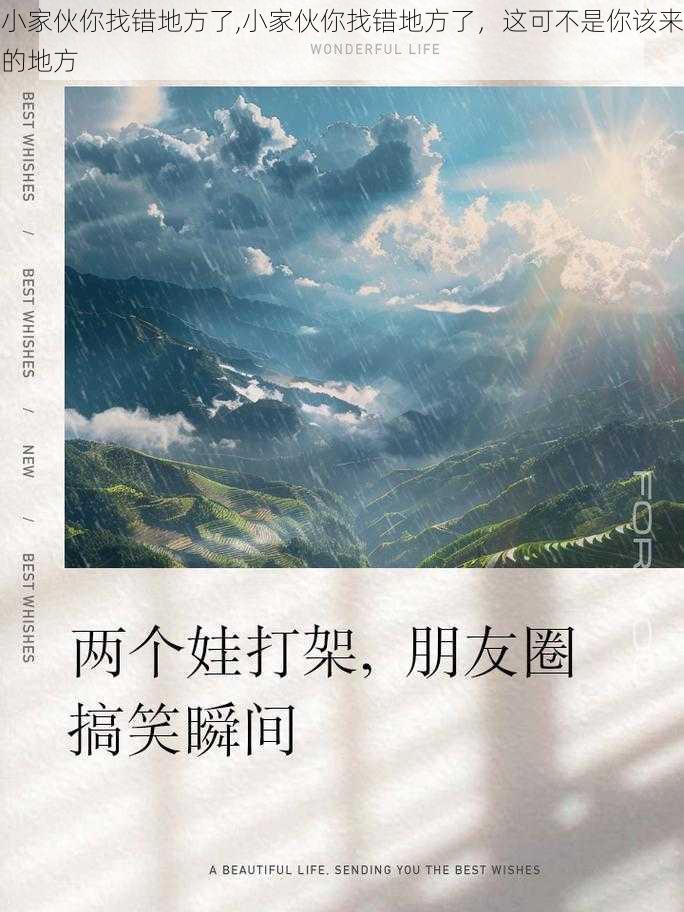 小家伙你找错地方了,小家伙你找错地方了，这可不是你该来的地方