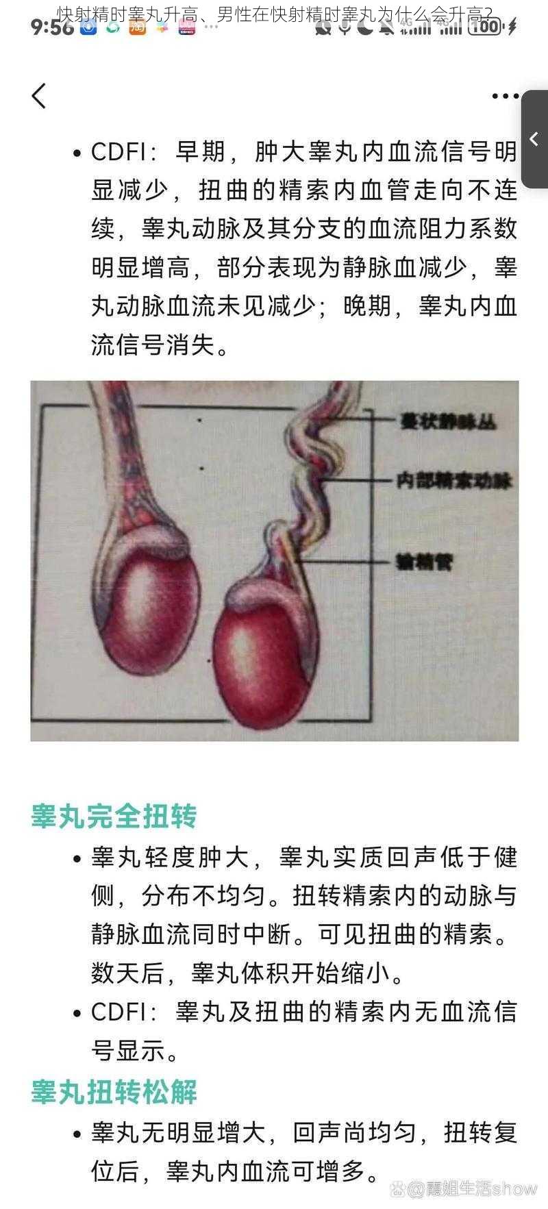 快射精时睾丸升高、男性在快射精时睾丸为什么会升高？