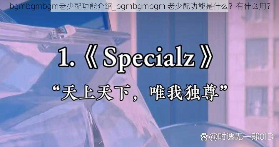 bgmbgmbgm老少配功能介绍_bgmbgmbgm 老少配功能是什么？有什么用？