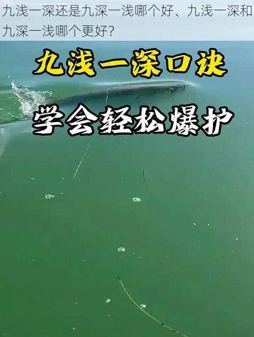 九浅一深还是九深一浅哪个好、九浅一深和九深一浅哪个更好？