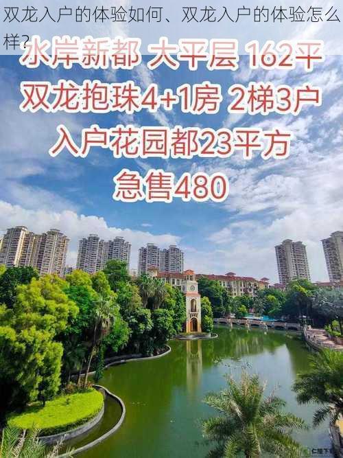 双龙入户的体验如何、双龙入户的体验怎么样？