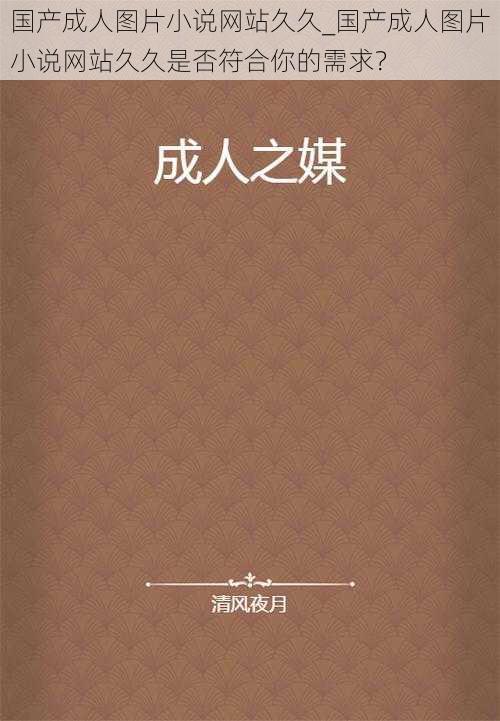 国产成人图片小说网站久久_国产成人图片小说网站久久是否符合你的需求？