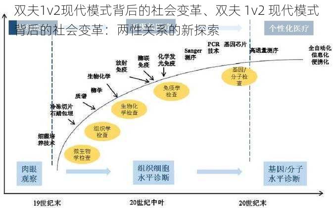 双夫1v2现代模式背后的社会变革、双夫 1v2 现代模式背后的社会变革：两性关系的新探索