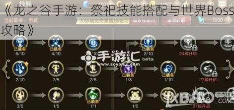 《龙之谷手游：祭祀技能搭配与世界Boss攻略》